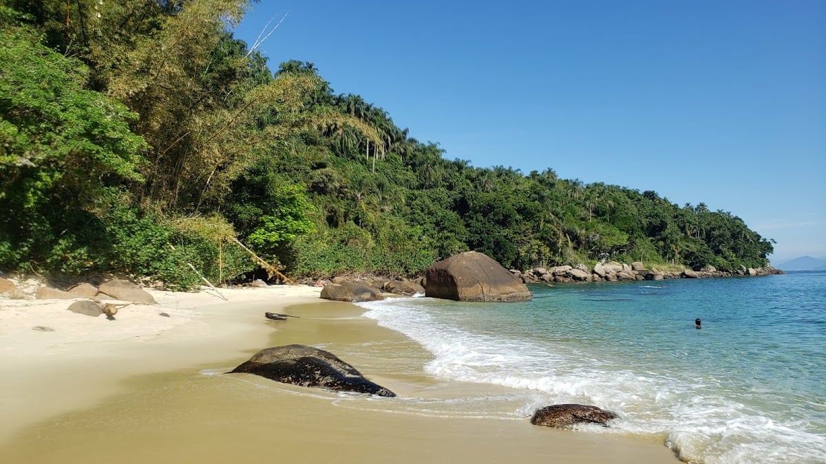 Ilha das Couves
