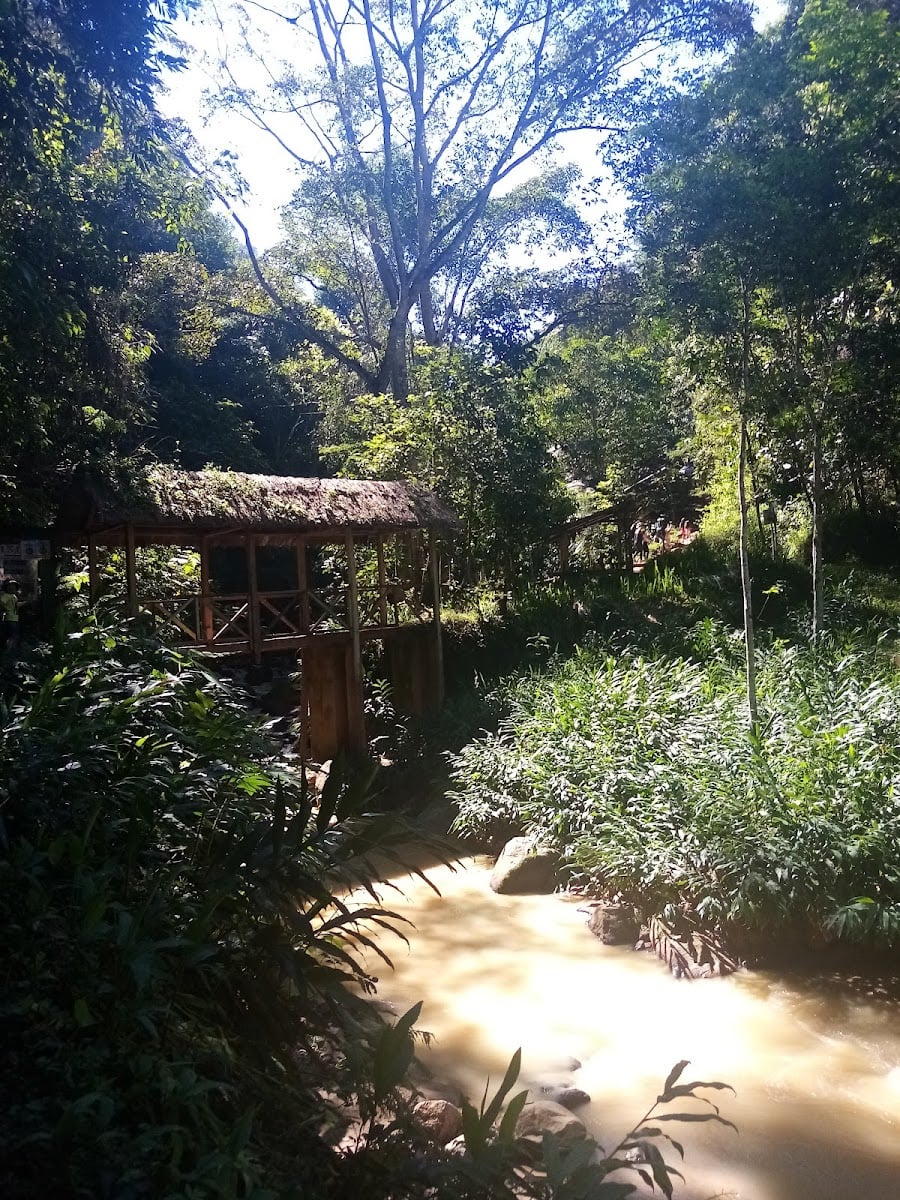 Chanchamayo