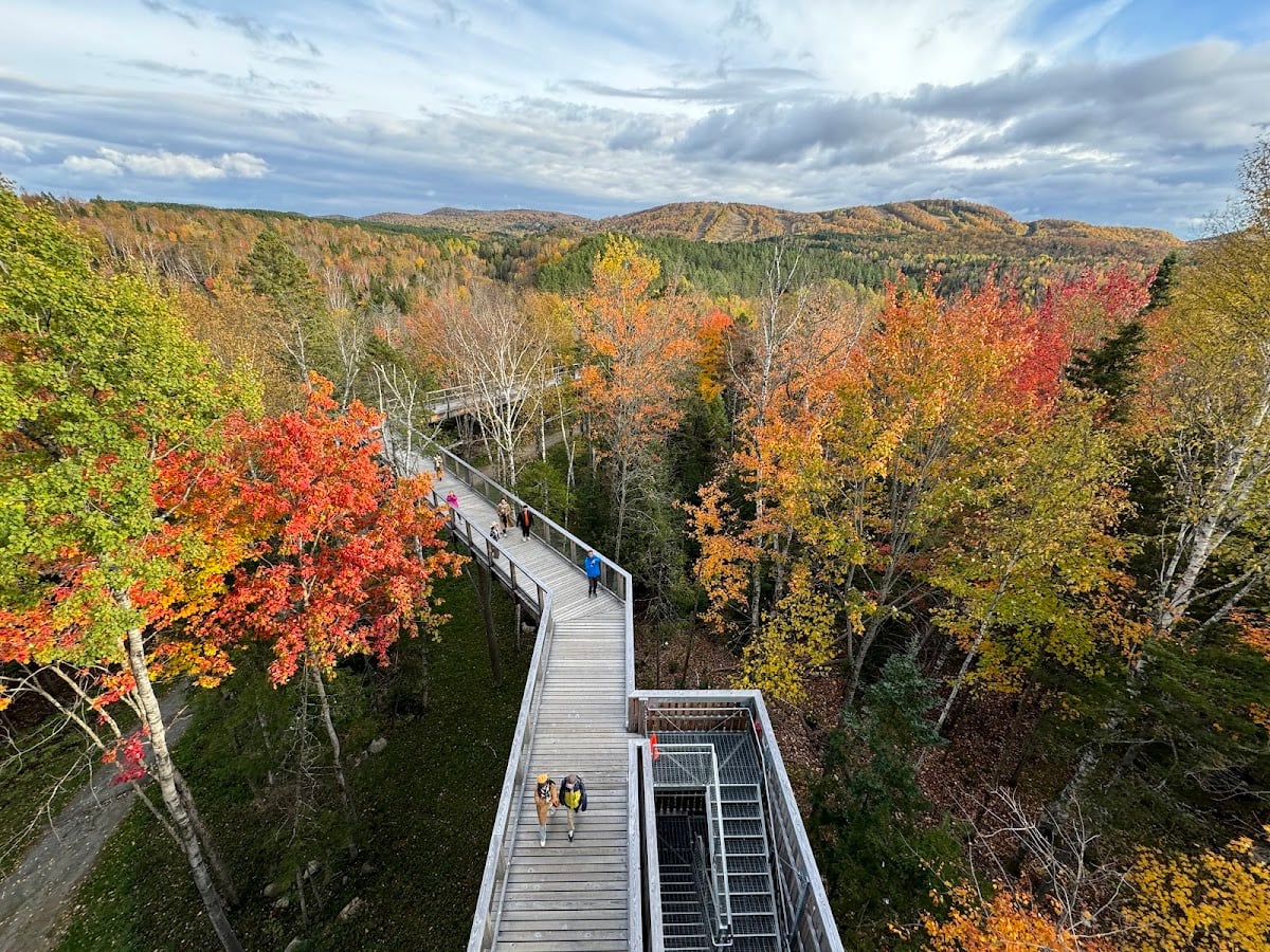 Sentier des cimes Laurentides