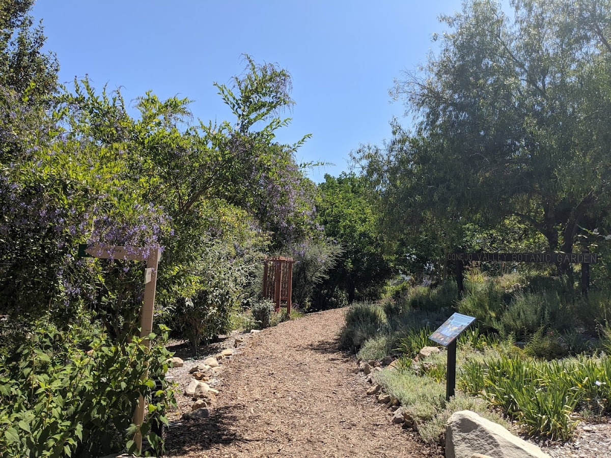 Conejo Valley Botanic Garden - (Thousand Oaks)