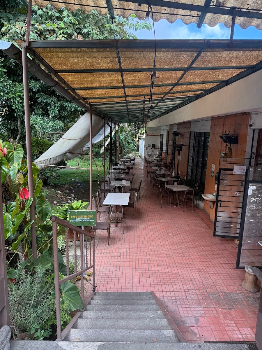 Los berros vegetariano