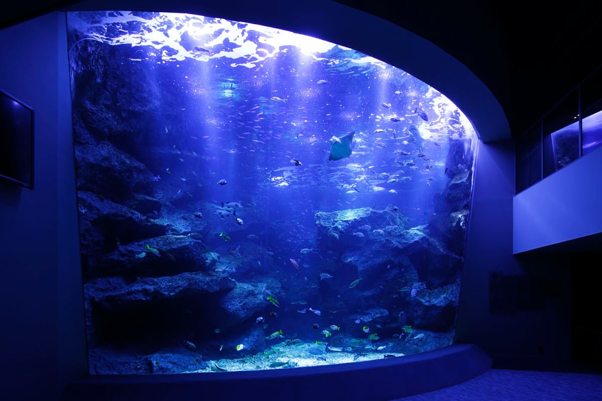 すみだ水族館