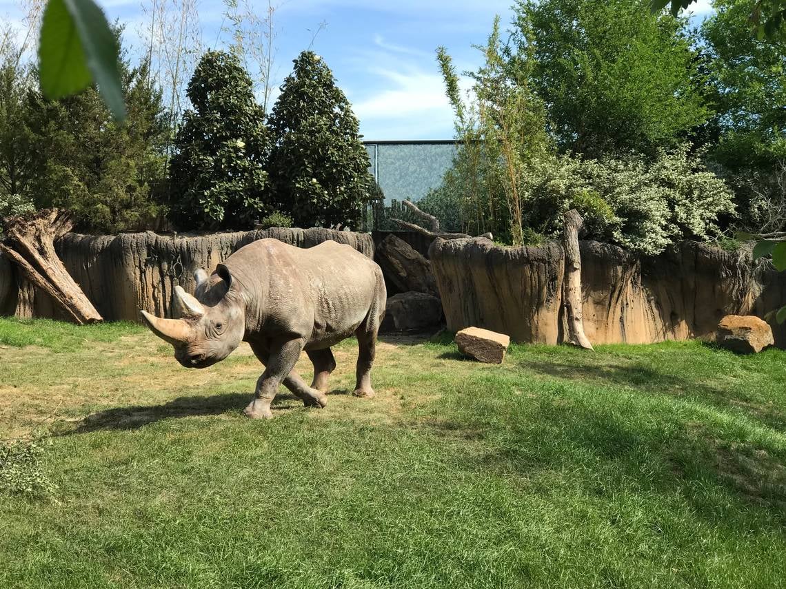 Fort Worth Zoo