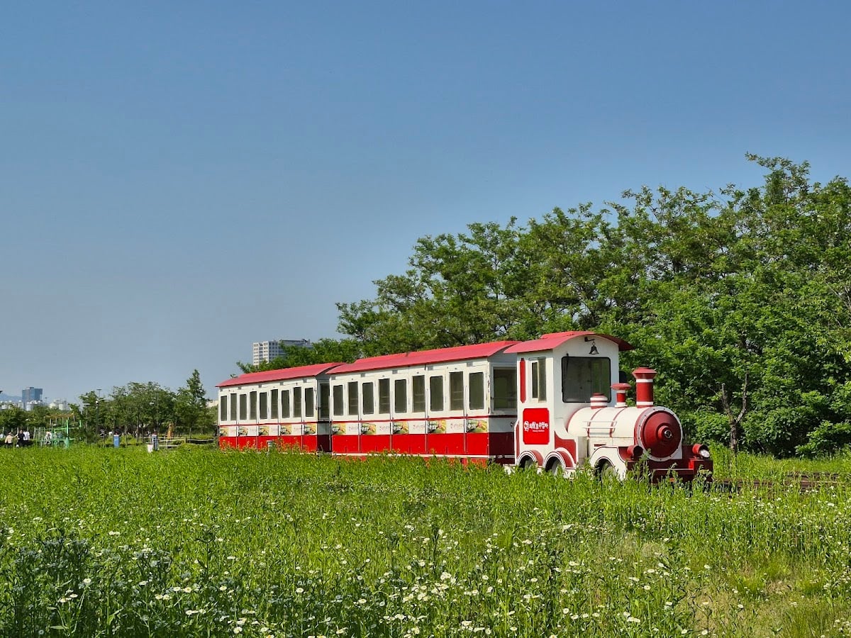 Uiwang Rail Bike