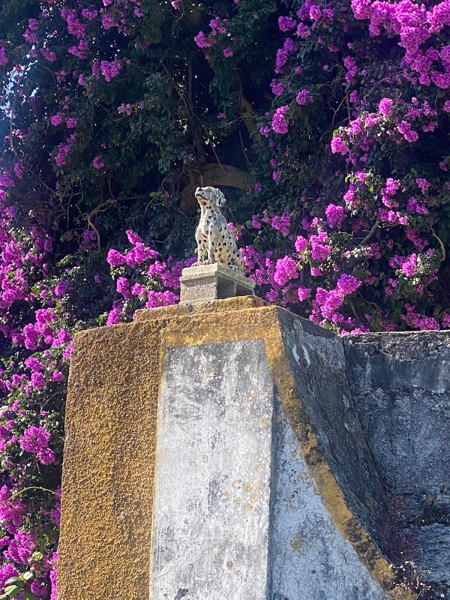 Quinta do Castelo- Missionários da Consolata