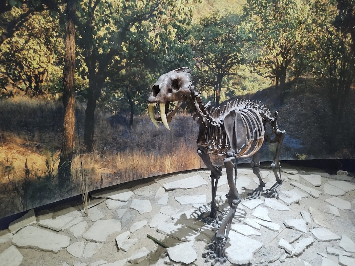 Museo de Paleontología de Guadalajara