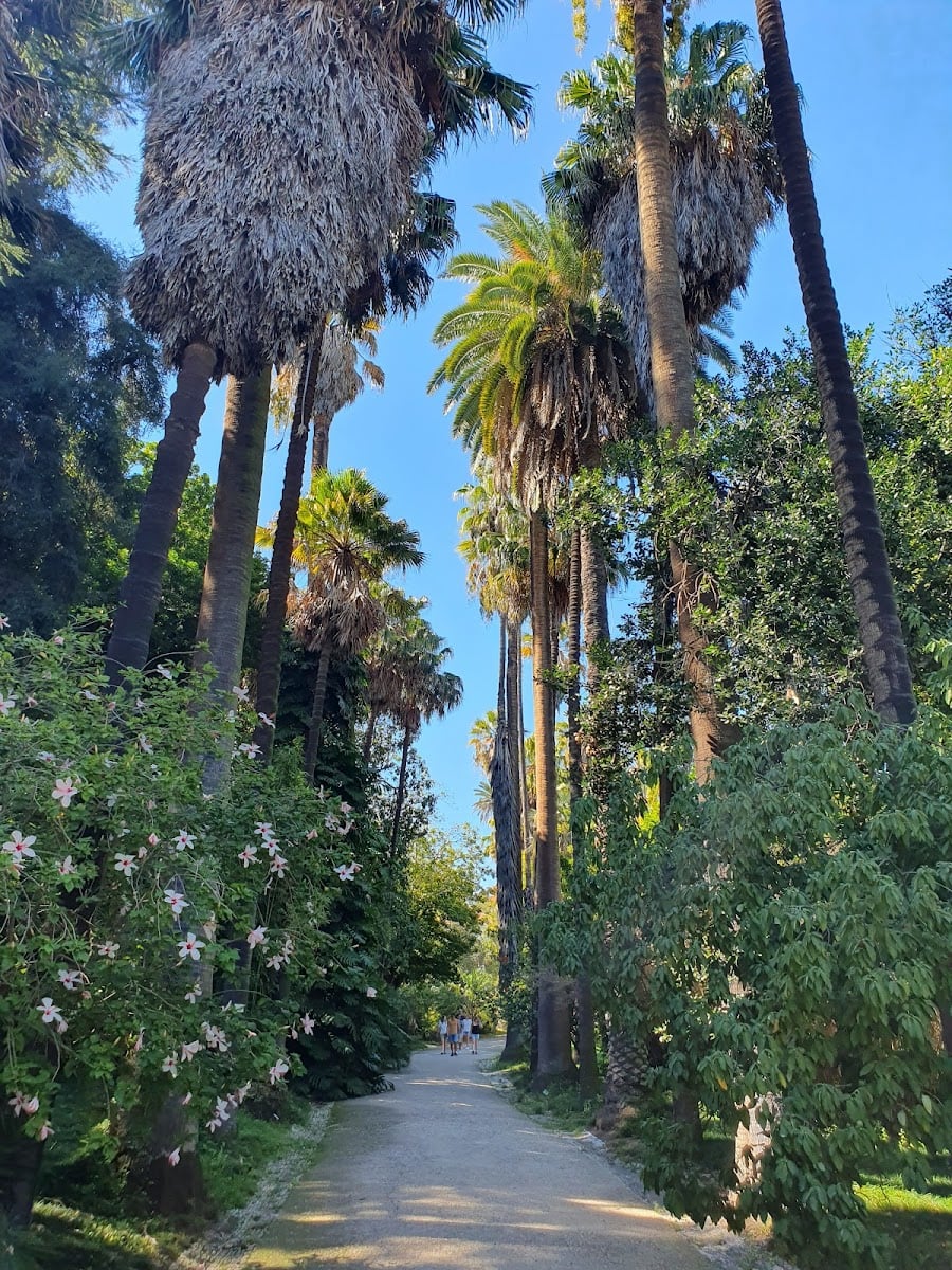 Jardim Botânico de Lisboa