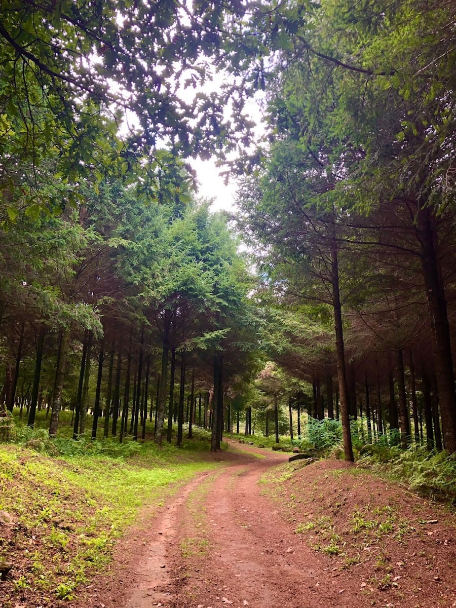 Parque Forestal Cotogrande