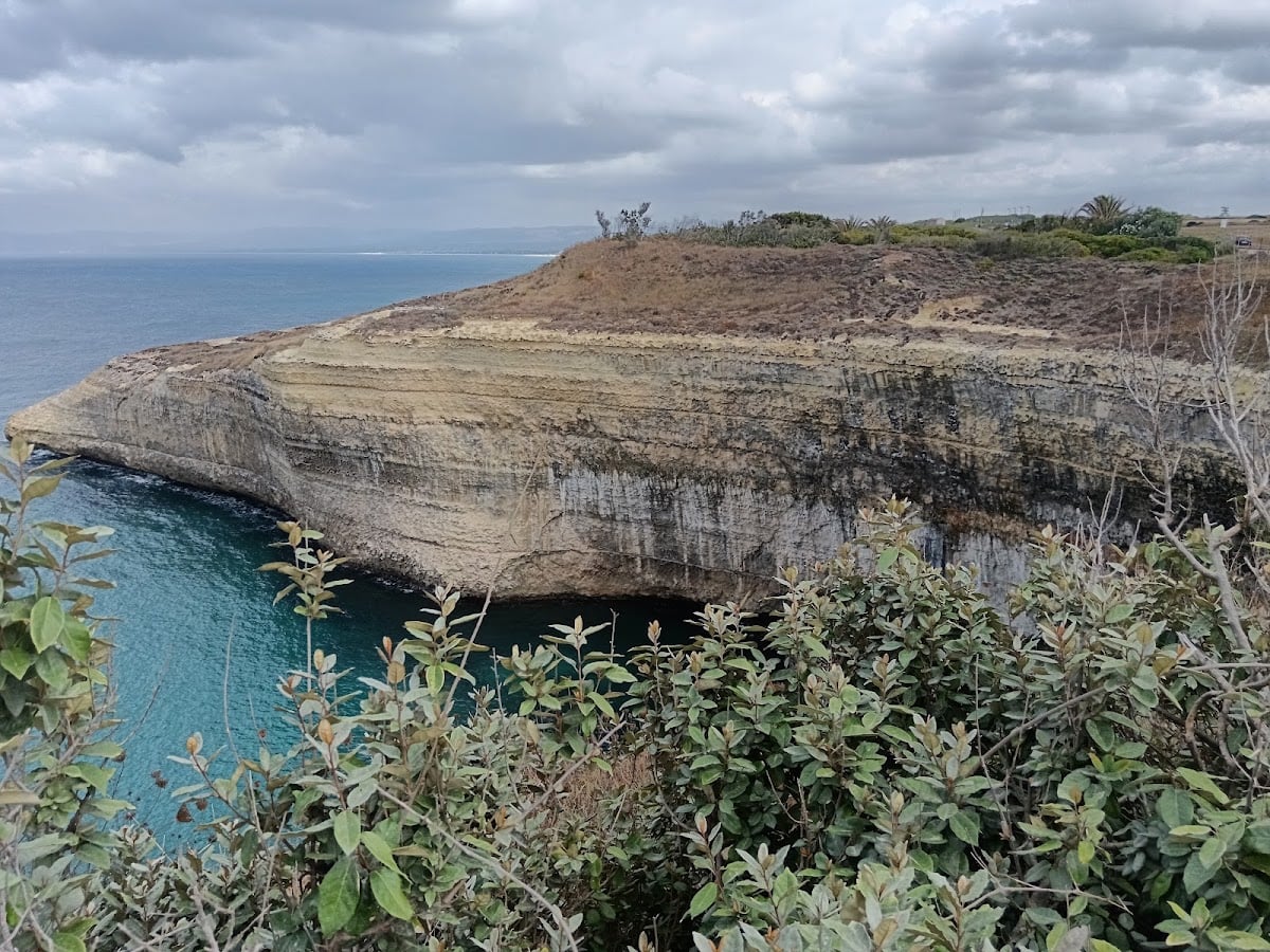 Ferro di cavallo