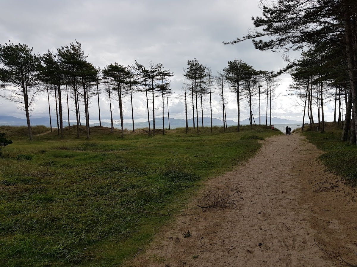 Newborough Forest