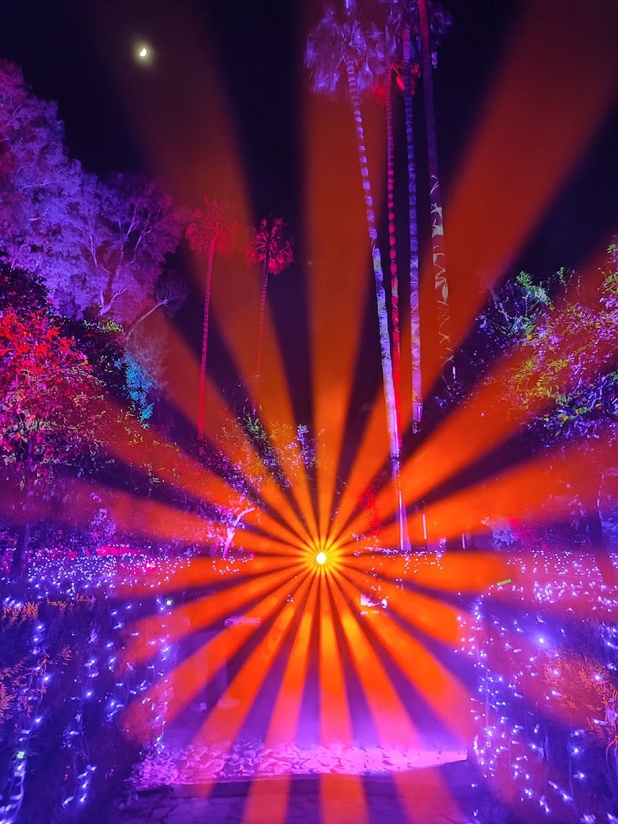 Naturaleza Encendida en Sevilla - ARRAS