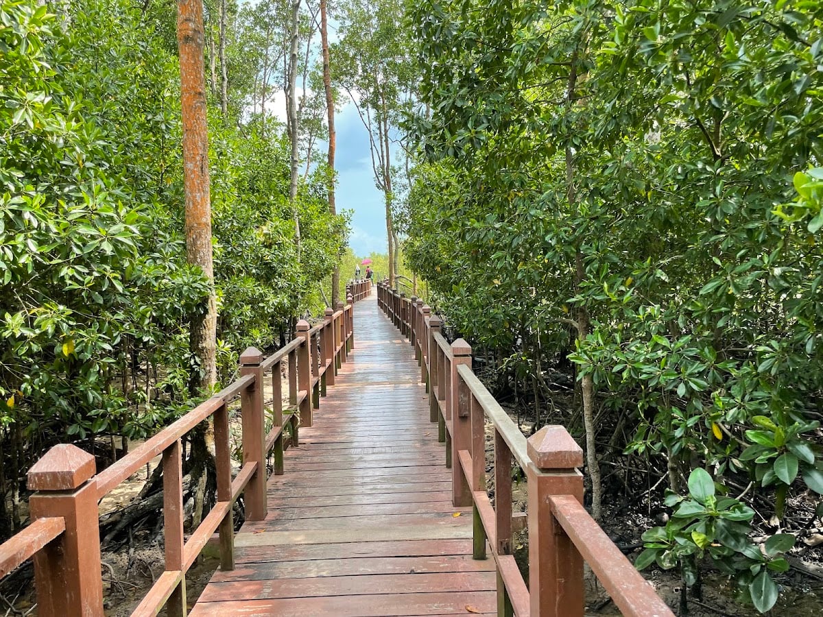 Taman Negara Johor Tanjung Piai