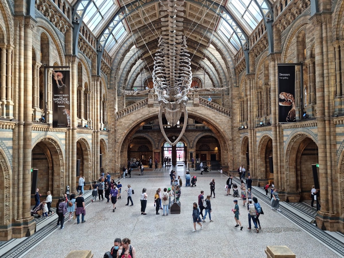 Natural History Museum