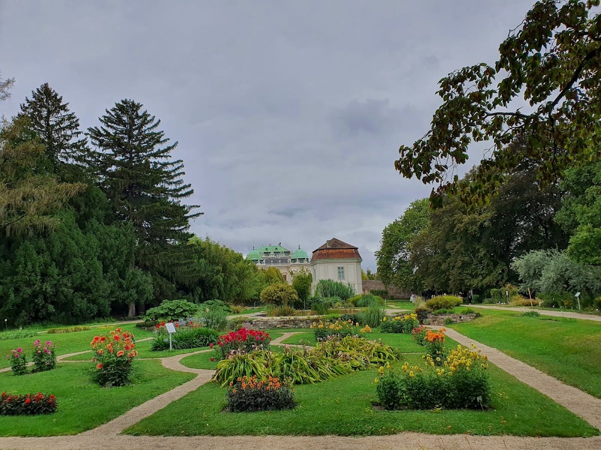 Botanischer Garten der Universität Wien - There are 🐿️