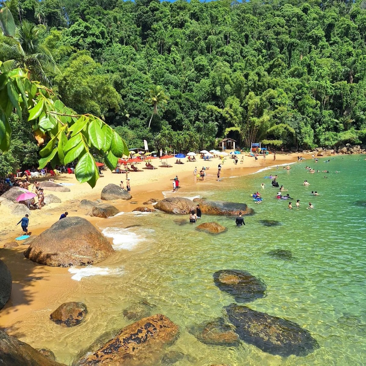 Praia do Cedro