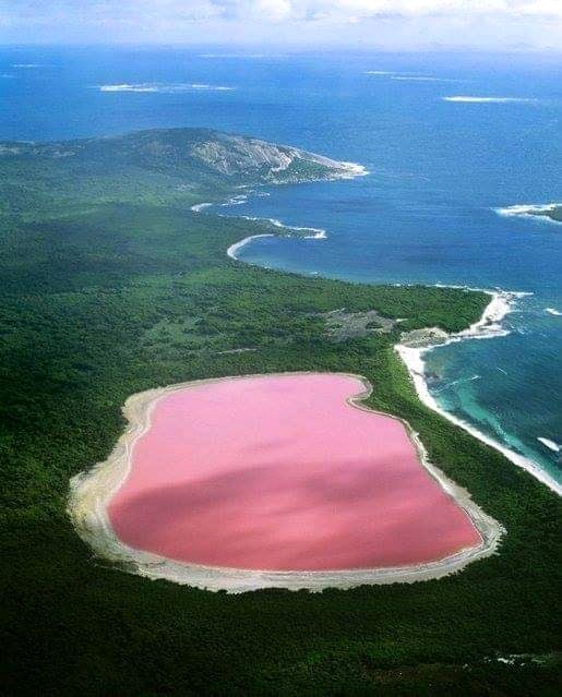 Pink Lake