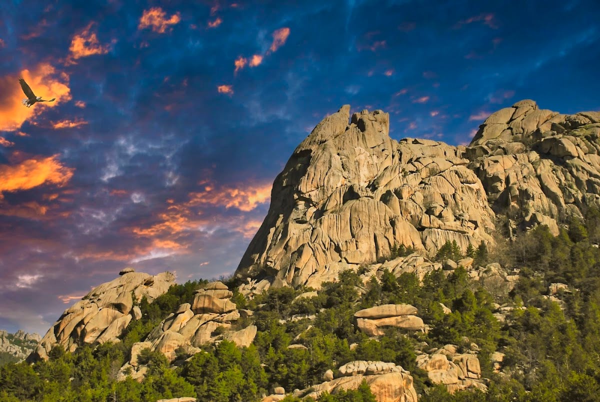 la pedriza.