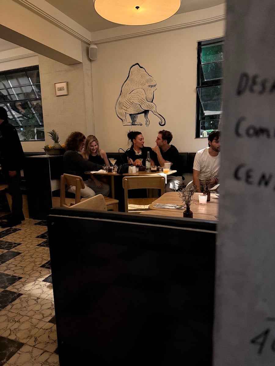 Lindy - Condesa
