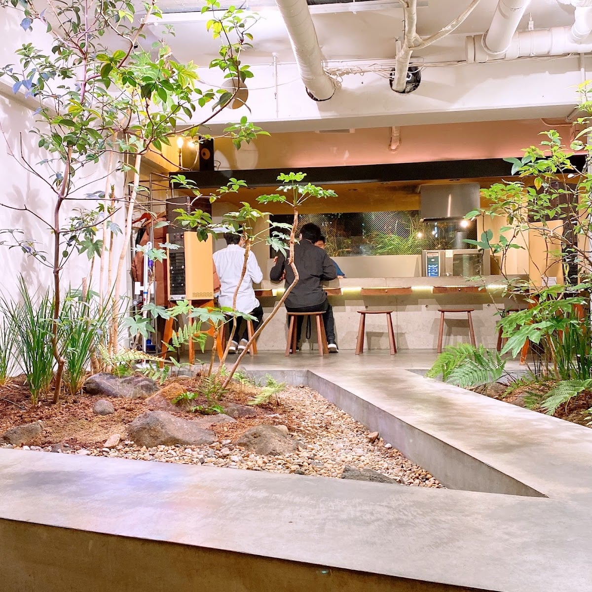 (Unnamed ramen restaurant) - Restaurant