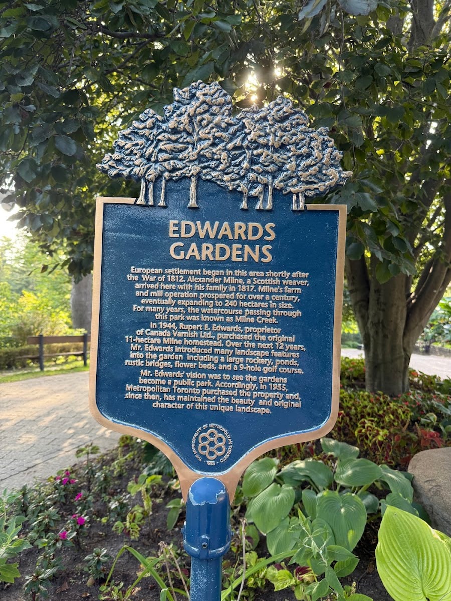 Edwards Gardens Mini waterfalls