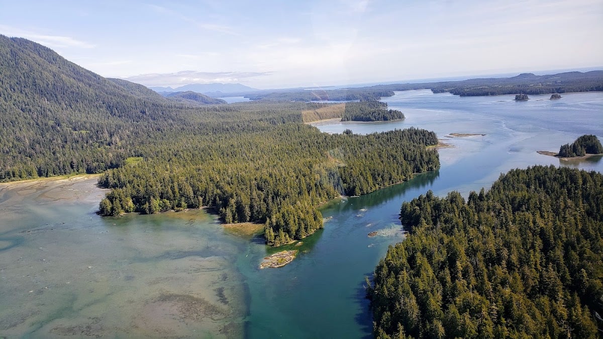 Tofino