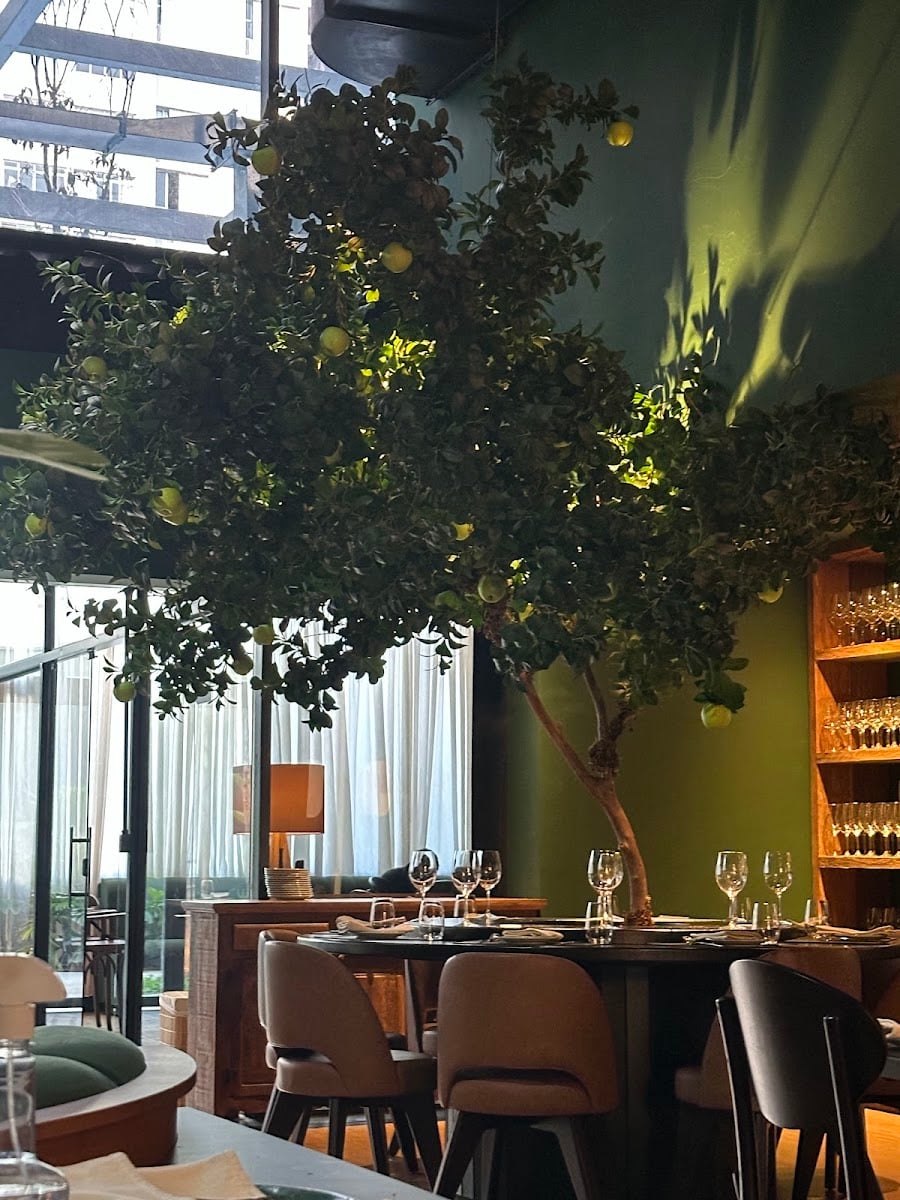 Paparoto Cucina - Pinheiros