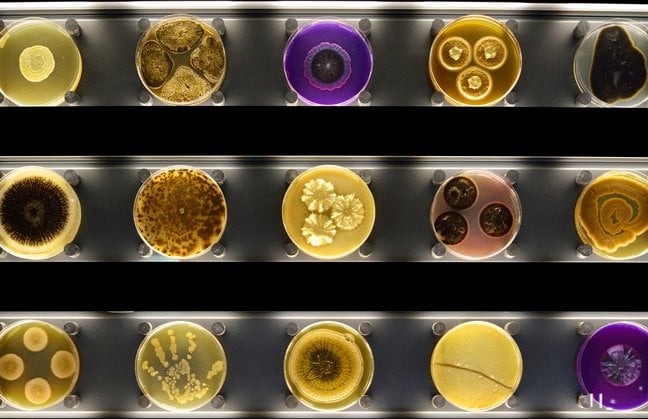 Micropia - museum of bacteria