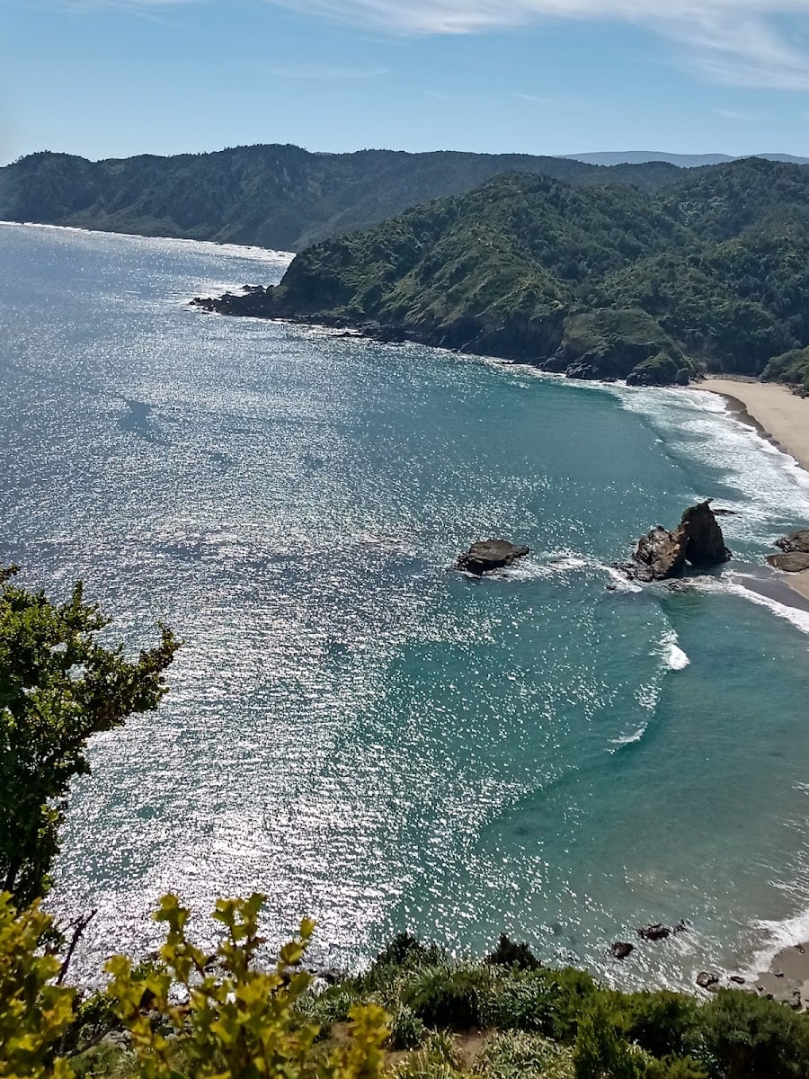 Pucatrihue
