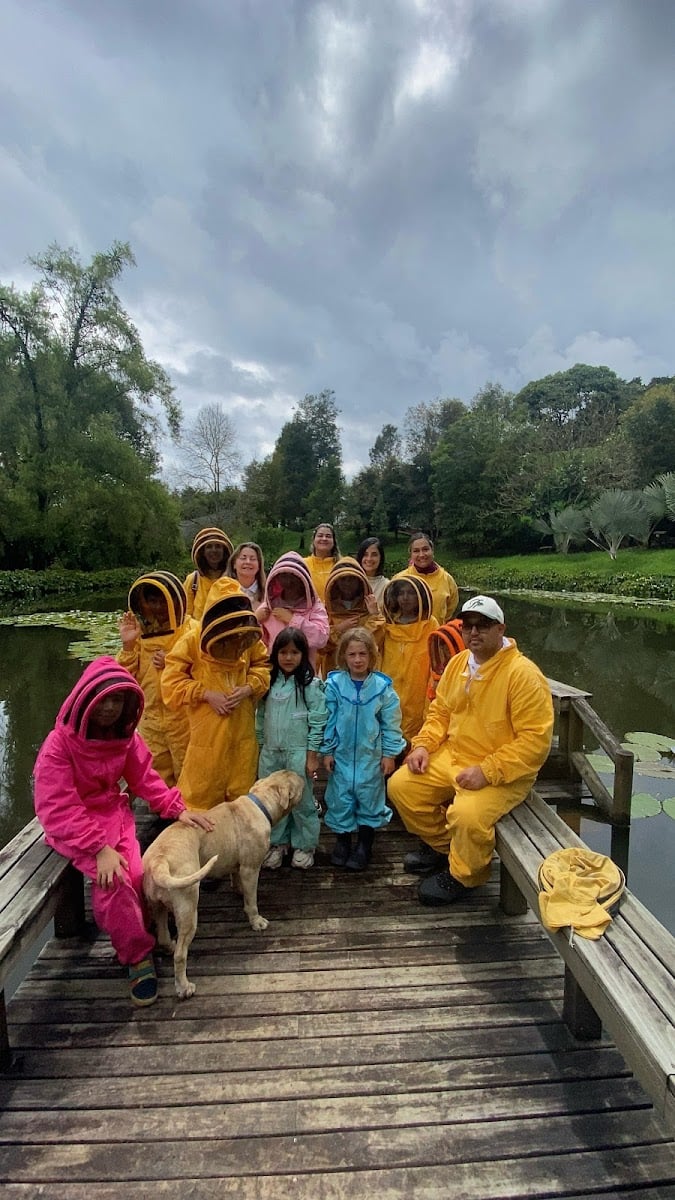 Tour de Abejas ORIMIEL APICULTORES / Rescate y reubicación de abejas y avispas 🙌🏻