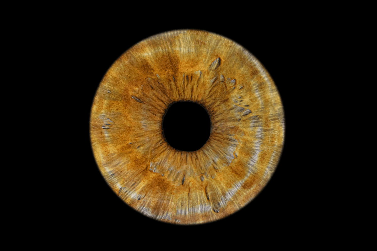 COSMIC EYE Iris Photo
