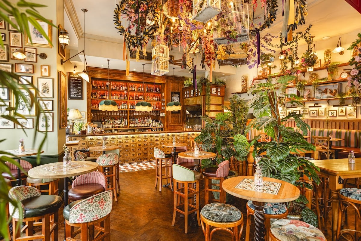 Mr Fogg's Botanical Tavern