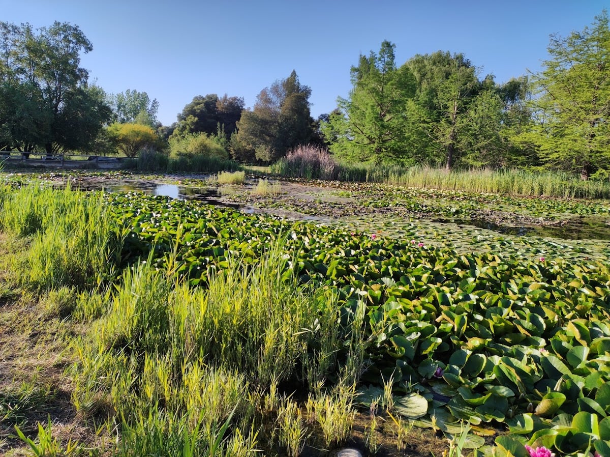 jardín botánico