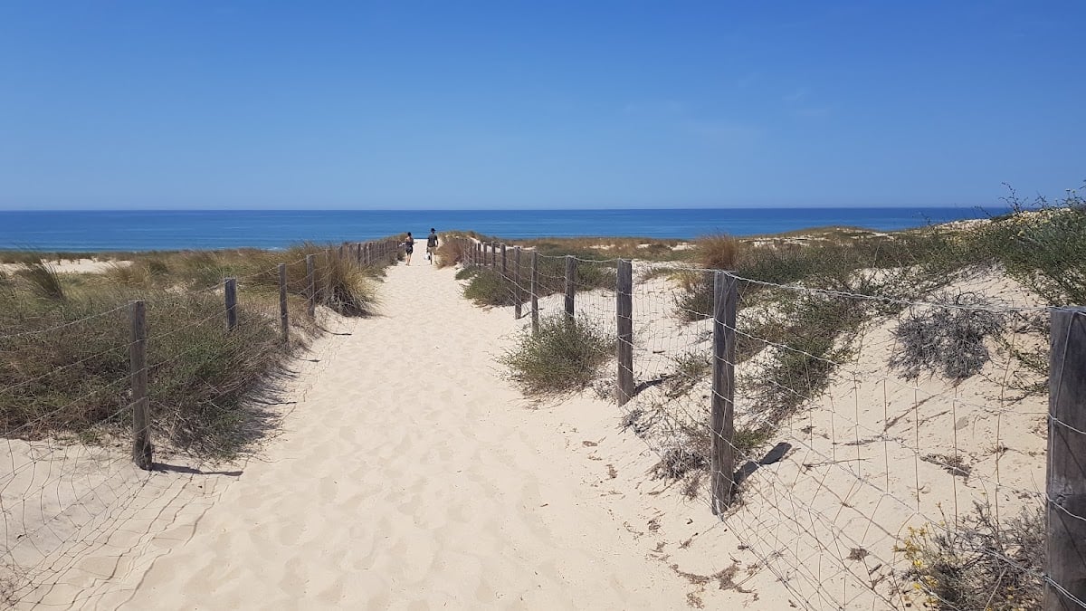 Arcachon Bay