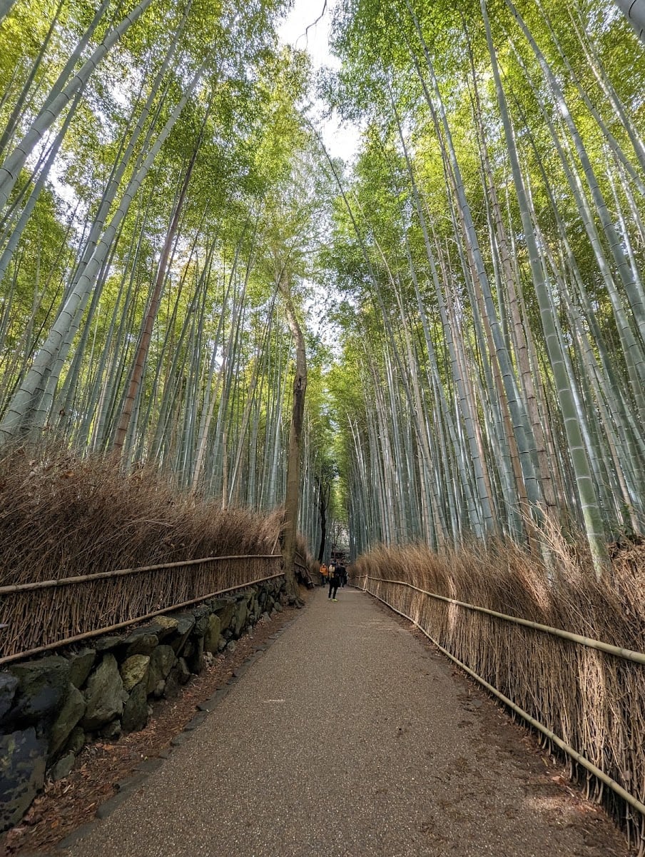 嵐山