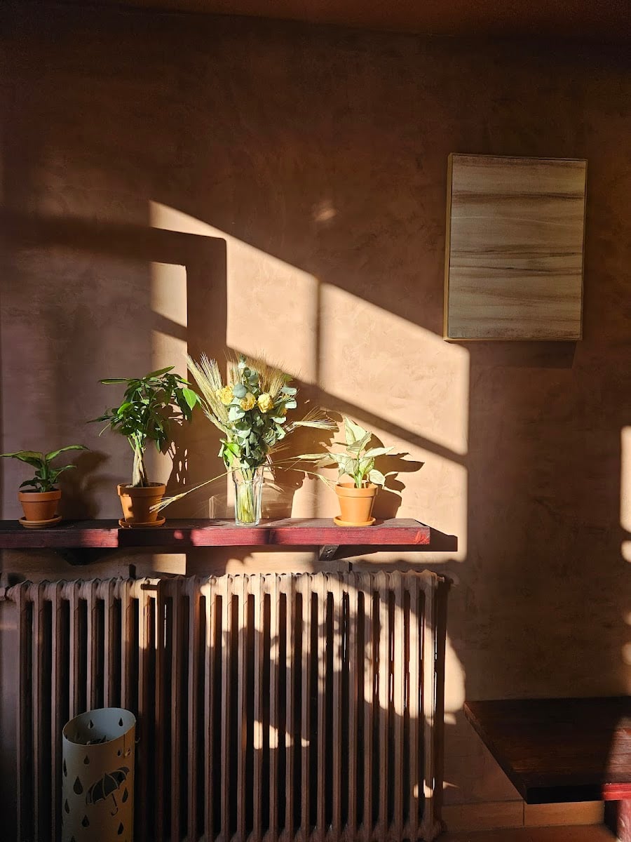 Del carmen café