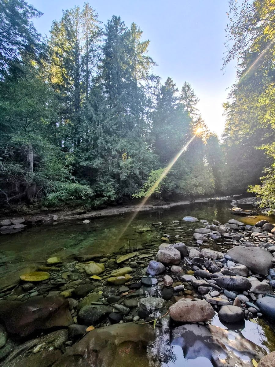 Brown's River Falls Trail