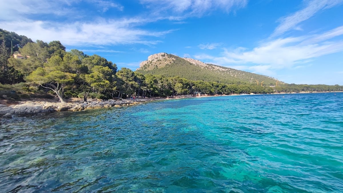 Platja de Formentor - Fácil acceso, playa espectacular a los pies de la montaña. Tienes un parking gratuito a 5 minutos andando.