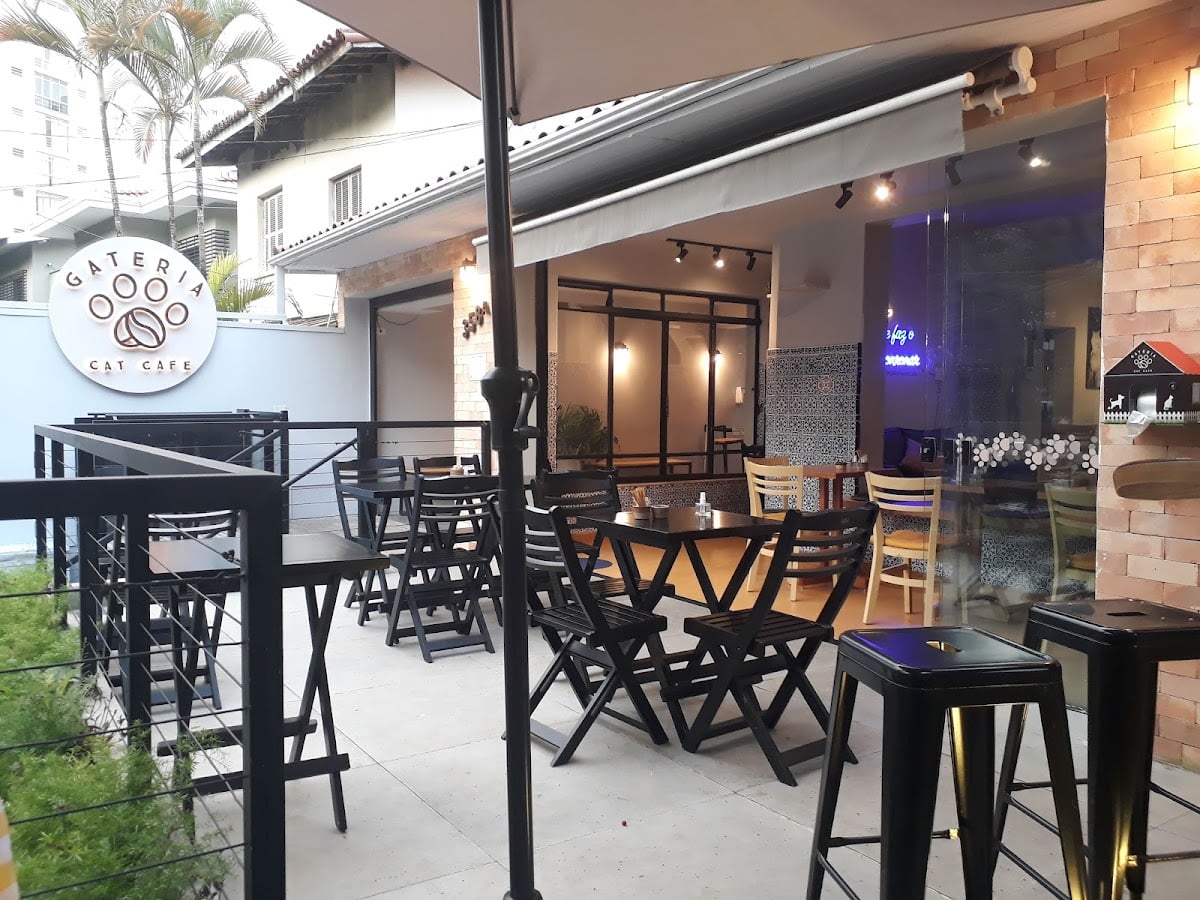 Gateria Cat Cafe