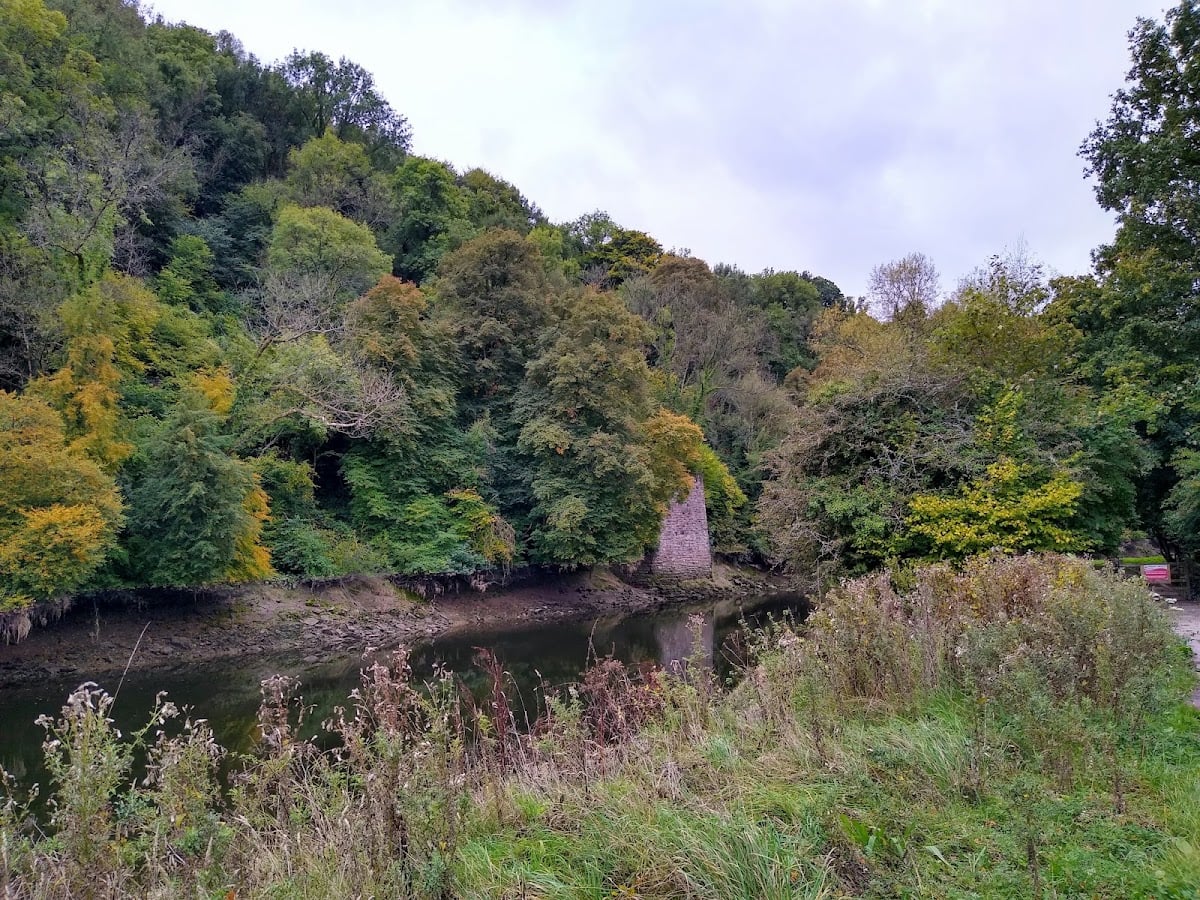 Wye Valley