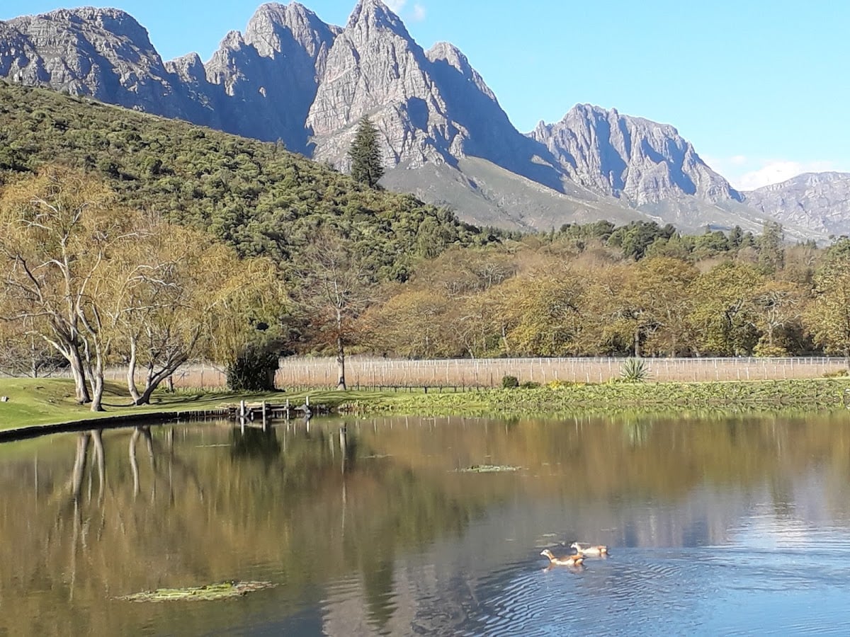 South Africa 🇿🇦. - Ciudad del Cabo, Johannesburgo, Durban, Gqeberha, Parque Nacional Kruger, Ruta Jardín, Cañón del Río Blyde, Montañas Drakensberg.
