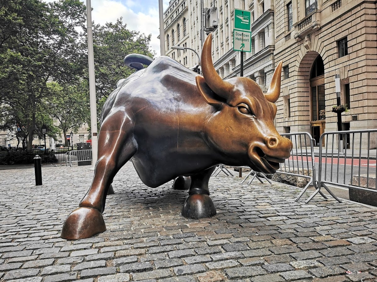 Charging Bull