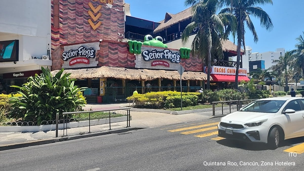 Congo Bar Cancun