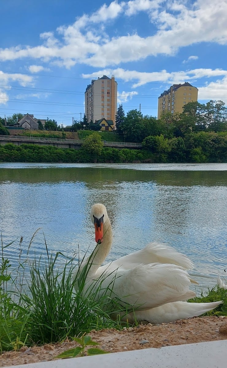 Maribor