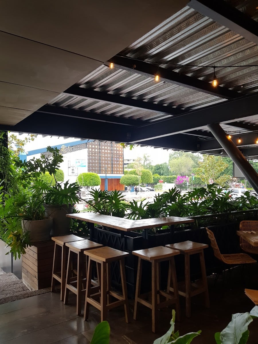 O L I V A - Restaurante | Tequis