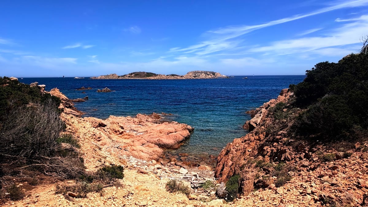 Punta del cervo