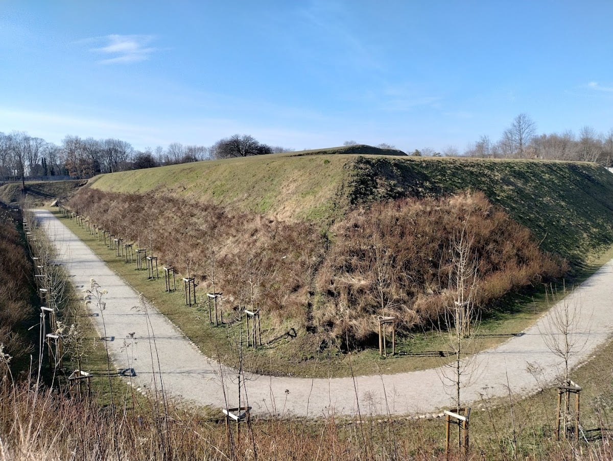 Fort V ("Włochy") - Żonkili