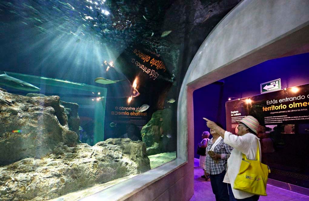 Acuario Michin Puebla