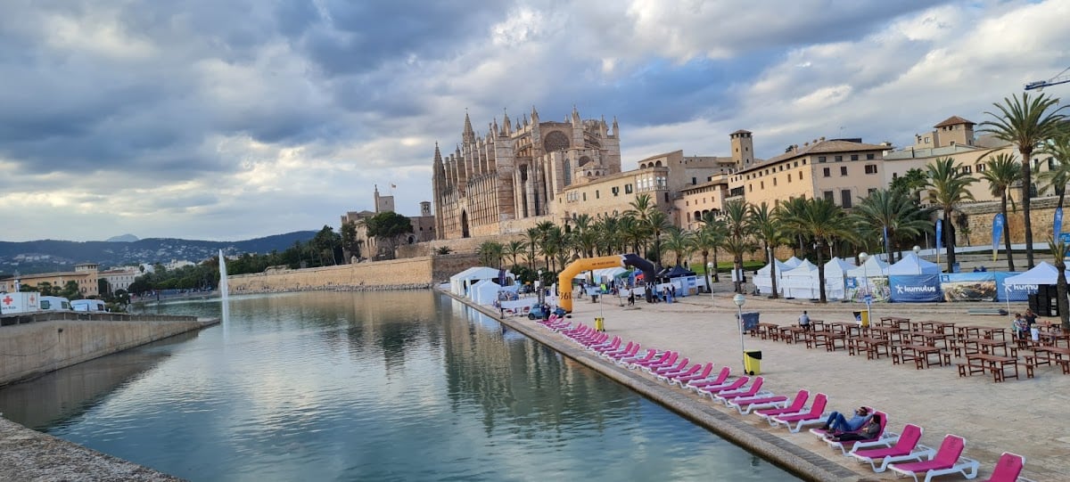 Palma