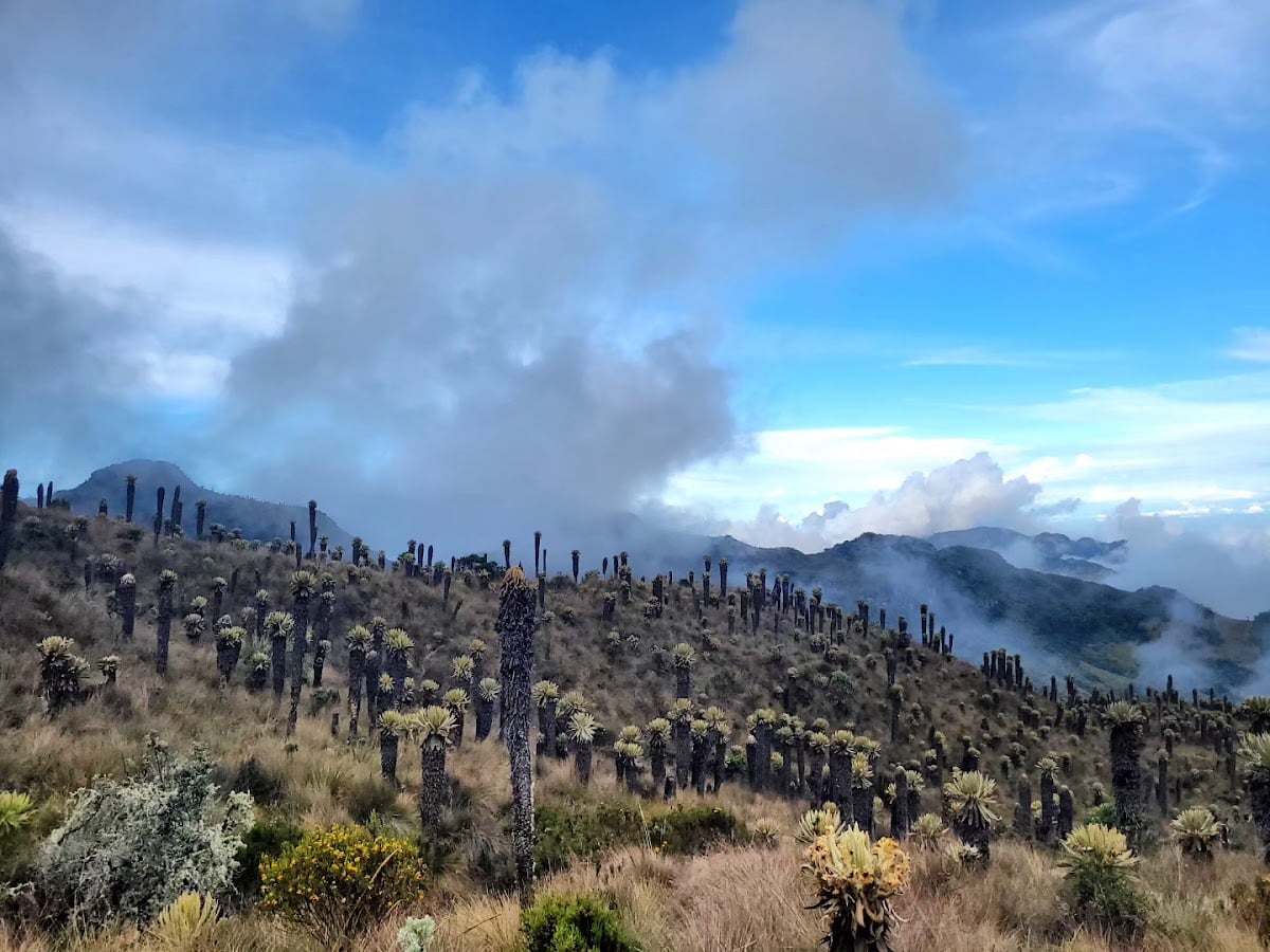Parque Nacional Natural Los Nevados