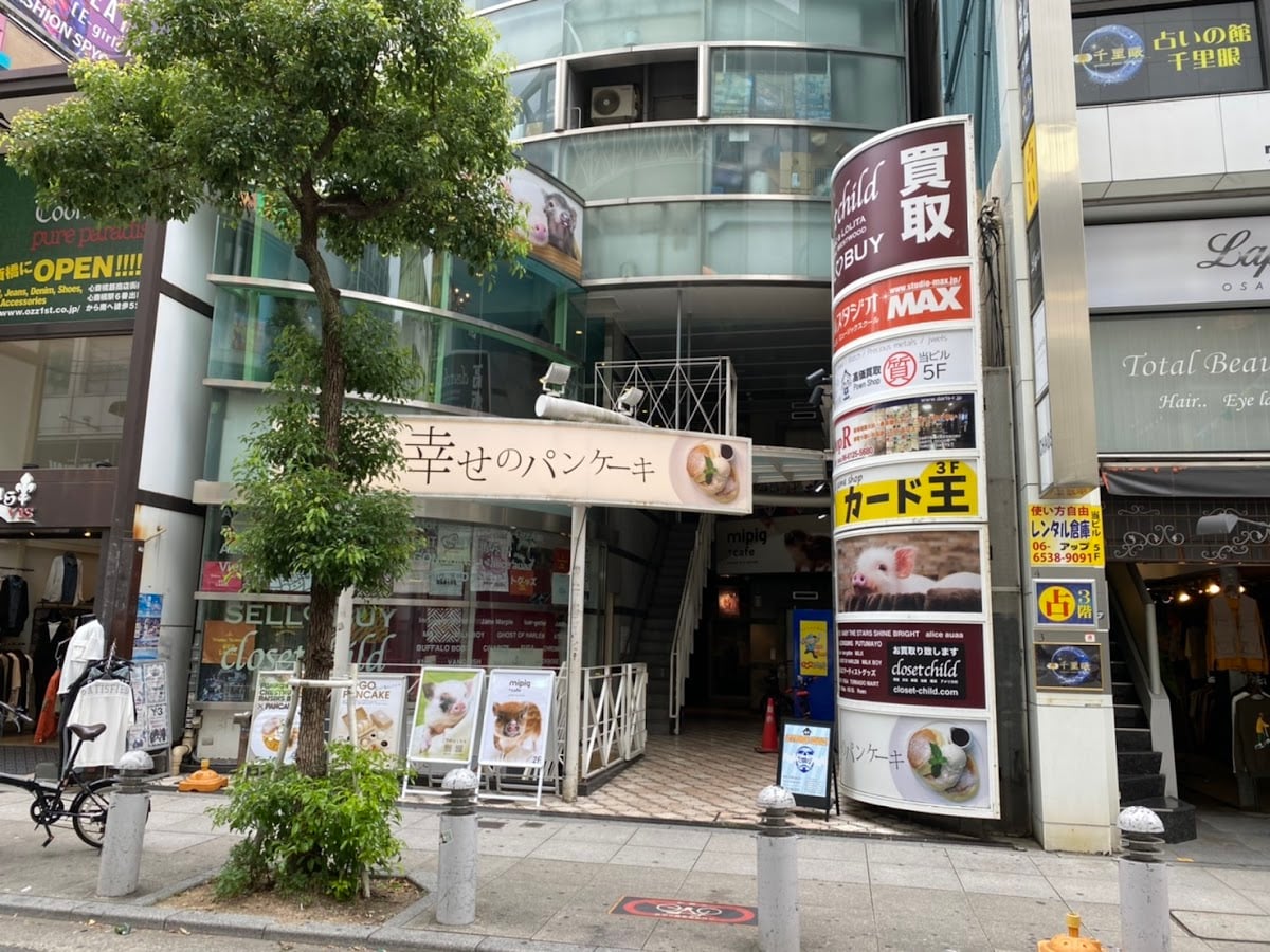 mipig cafe オオサカミセ